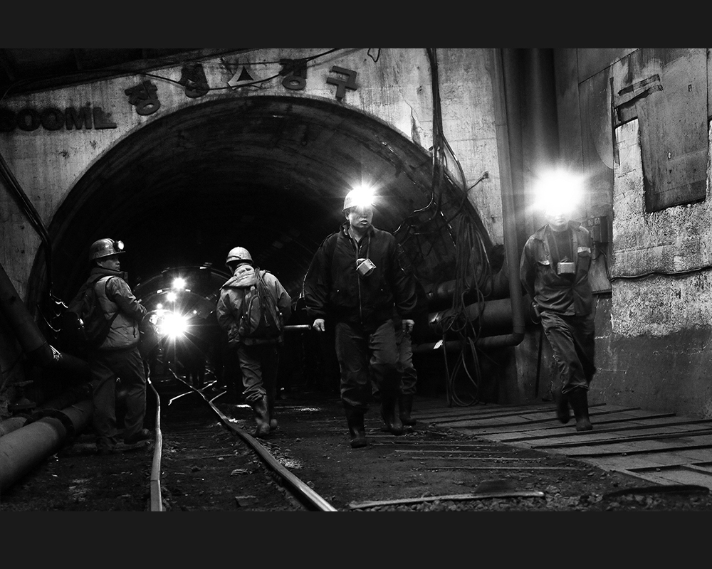 ����� �̹���