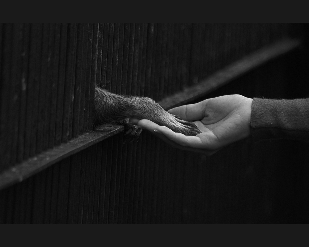 ����� �̹���