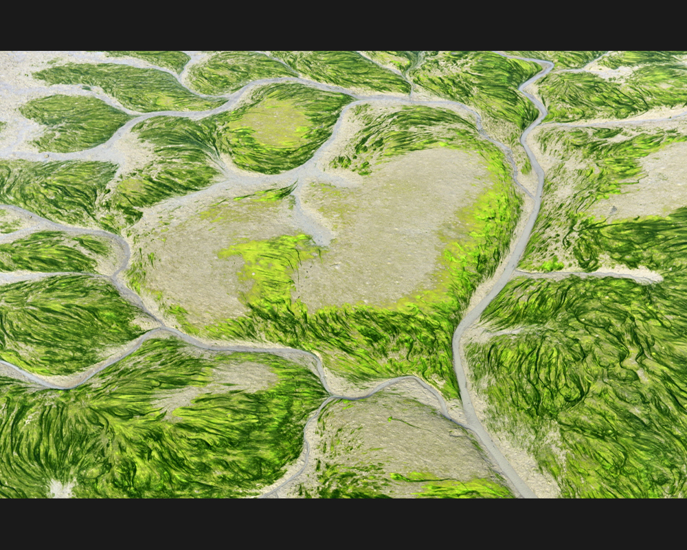 ����� �̹���