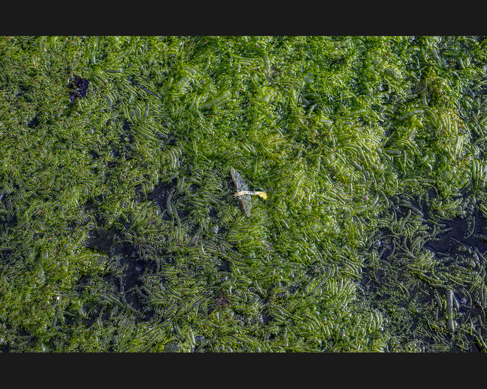 ����� �̹���